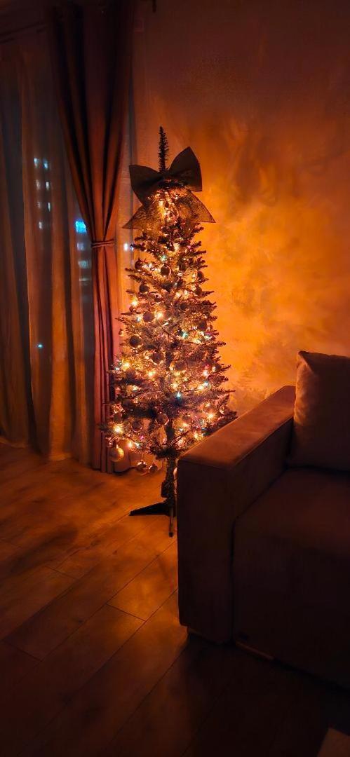 Brigitte Apartment Брашов Екстериор снимка
